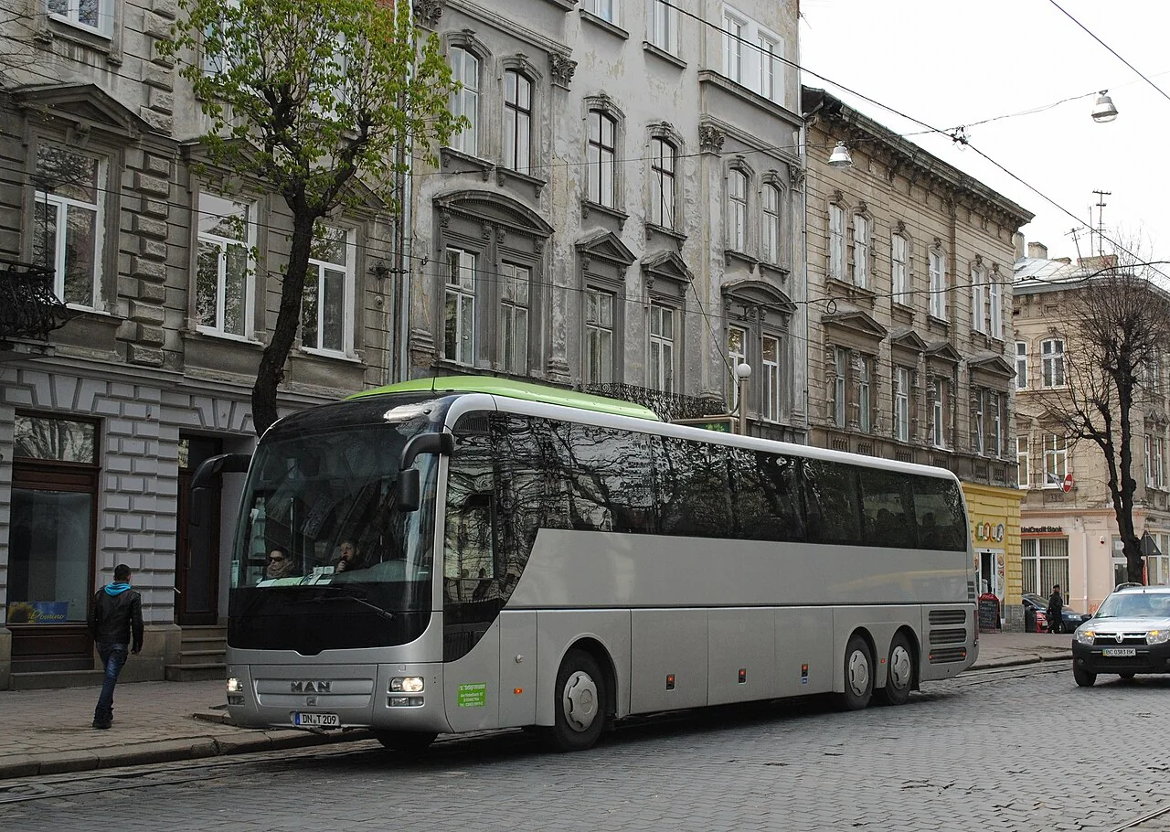 Ремінь безпеки в міжміському автобусі: правила для дорослих і дітей